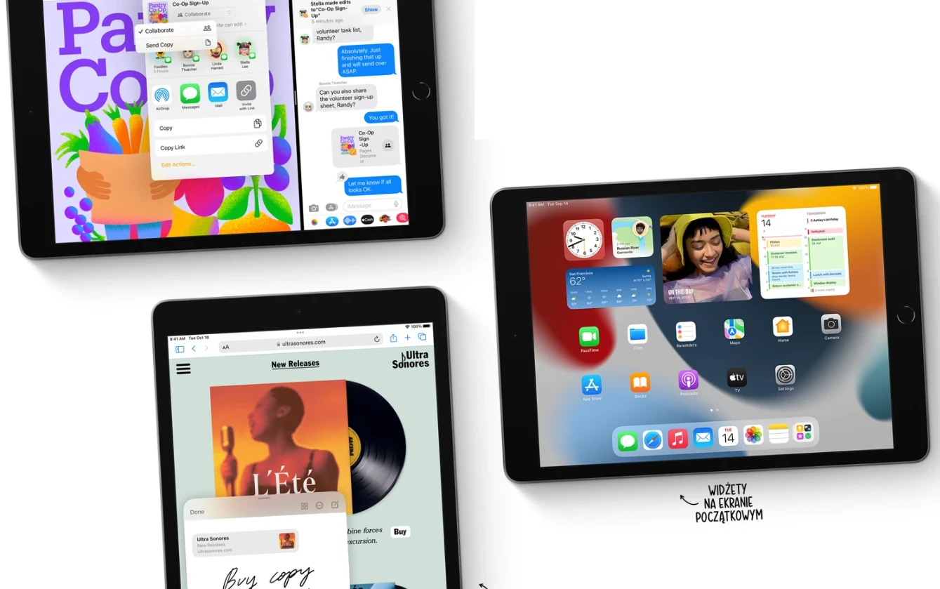 Apple iPad 10,2 cala 9gen 256 GB Cellular Space Gray